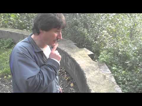 Am Bökelberg in Mönchengladbach über NN 113 am 28.10.2010 um 14:50 Uhr