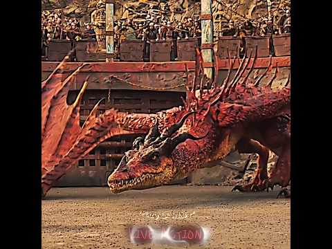 𝙃𝙤𝙤𝙠𝙛𝙖𝙣𝙜 𝘧𝘪𝘳𝘴𝘵 𝘭𝘰𝘰𝘬 𝘪𝘯 𝘓𝘪𝘷𝘦 𝘈𝘤𝘵𝘪𝘰𝘯