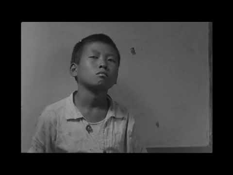 Trailer | BIFF2022 낙동강 Nakdong River | 특별상영