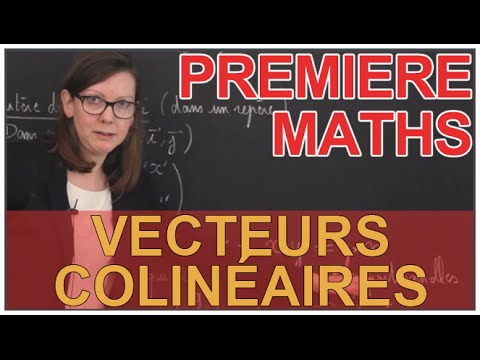 Collinear Vectors - Course Reminder - 1st Year Maths - Les Bons Profs