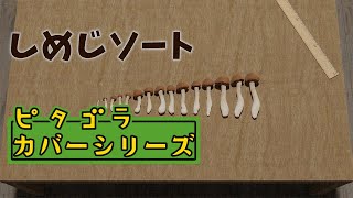 しめじソート おとなのピタゴラスイッチ Eテレ マージソート