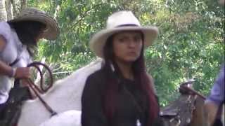 preview picture of video 'horse riding Cordoba. tourism Quindio Colombia,beautiful landscapes and women 17.m2ts'