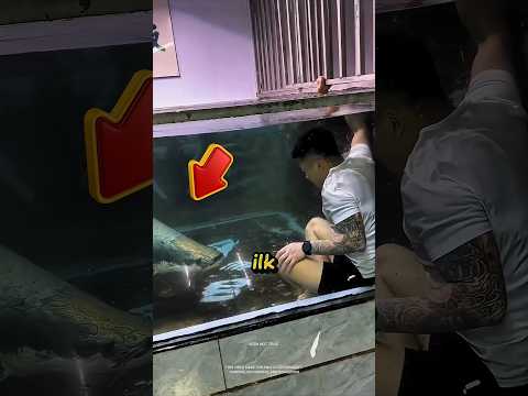 😱Tehlikeli Balıkla İlk Temas❗