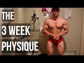 THE 3 WEEK PHYSIQUE | MAKING GAINS 2 DAY 22