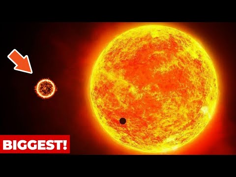 This is the Biggest Star ever Discovered!