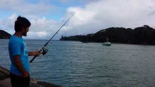 preview picture of video 'Aqeel learns to fish at Mangonui Wharf with Uncle Kelvin'