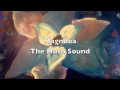 Magnolia - the Hush Sound (Official)