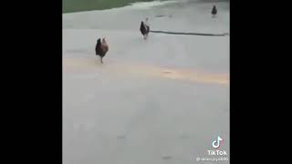 Download lagu Kata baba mp3 Download lagu Kata baba mp3