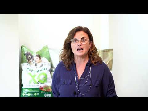 DESDE GUATIMOZIN, LA PyME BONGIOVANNI REALIZA SU PRIMERA EXPORTACIÓN A PARAGUAY