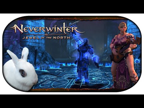 NEVERWINTER: Mit Sang und Klang durch Faerun 🎸 19 - Wenn man EINMAL den Heiler braucht...
