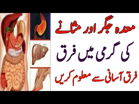 The heat of the liver | The heat of the stomach | The heat of the mother