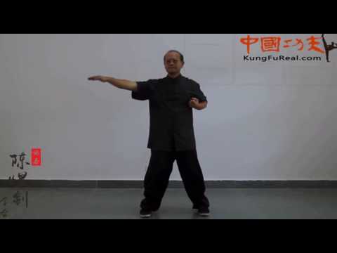 learn wing chun online--- chum kiu form step by step