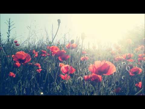 French Montana ft Curren$y - In The Sun