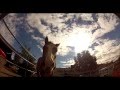 Horsing Around