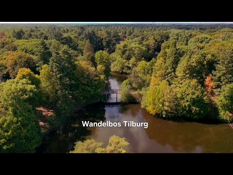 Wandelbos Tilburg Drone Video | Scenic Aerial Views in 4K