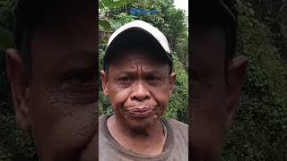 Sentra Kolang Kaling Ujungbarang Cilacap Ramai saat Ramadan, Produksi Turun-Temurun Laris Manis