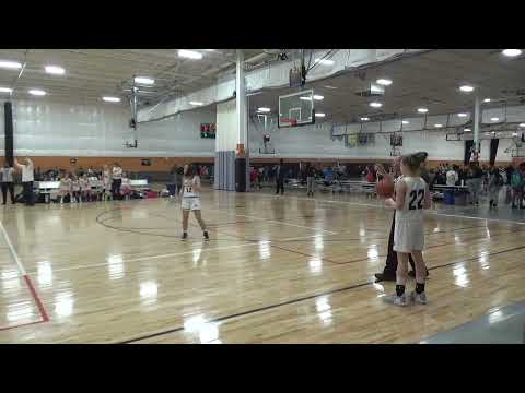 All In Vs DYT Vipers  3/17/23