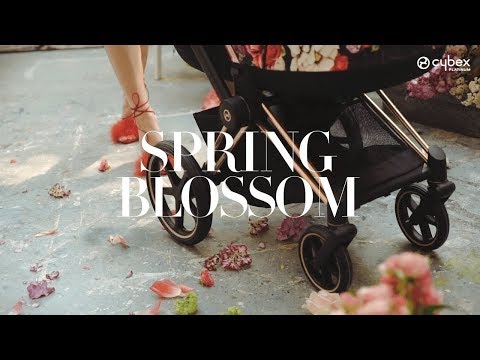 Коляска 2в1 Cybex Priam IV Spring Blossom Light шасси Rosegold