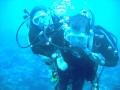 SCUBA Love Story 