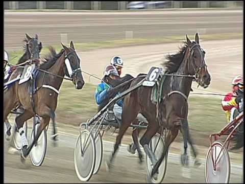 Trotto 16/12/2016 - 4ª corsa