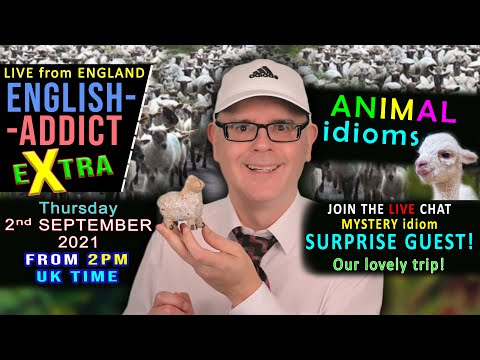 ANIMAL idioms - English Addict eXtra - LIVE - Thursday 2nd September 2021 / With Mr Duncan