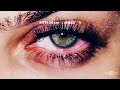 Kasme Teri Kasme Teri Batein Teri Kasmein Teri Baatein Teri Superhit Album Song Must Watch