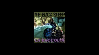 The Black Sheep - Tainted Love (The Living End cover) Live 2003