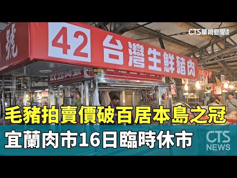 毛豬拍賣價破百居本島之冠　宜蘭肉市16日臨時休市