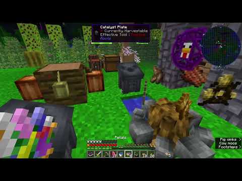 Divine Journey 2 Co-op, Chapters 3-6: Episode 14