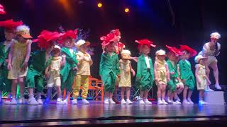 Danae – “Papaveri e Papere” di Nilla Pizzi | Musical di Fine Anno | 30 Maggio 2025