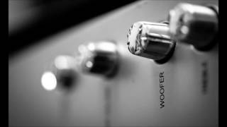 Jay Z * Wishing On a Star - D Influence RMX.