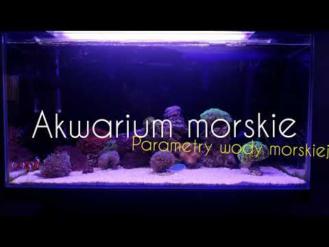 Akwarium morskie - Parametry wody morskiej + moja wpadka.odc.11