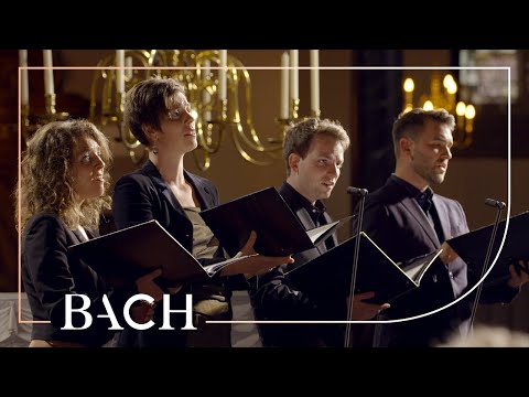 Bach - Cantata Nach dir, Herr, verlanget mich BWV 150 - Sato | Netherlands Bach Society