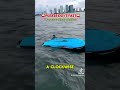 How To Flip The Jetski