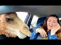 The Best Of The Internet 2024