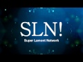 SLN Yet Another Styled Logo
