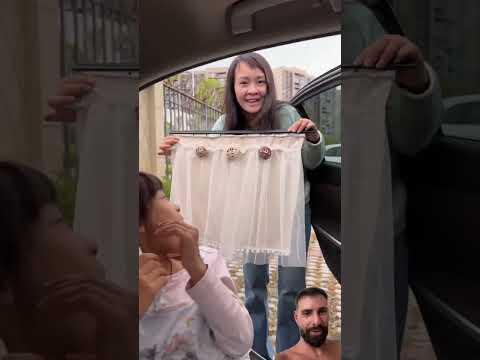 Truco para que no te vean en el coche Clever Living-168