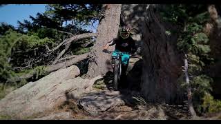 sending.. to your mom