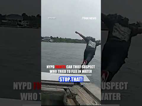WATCH: NYPD officer dives in after suspect who fled into the water #shorts #nypd #water #suspectruns