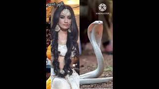 Download lagu nagin dance with me mp3