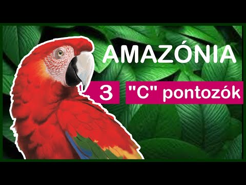 Kölykök az esőerdőben | Amazónia Letsplay 3. rész - Társaság - Szabadidő és Társasjáték