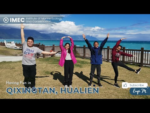 Pesca em Hualien, Taiwan | Aprendizados