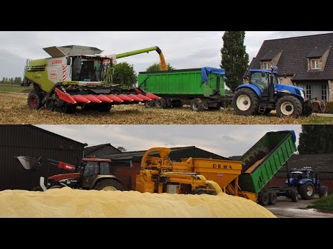 Claas Lexion 760 TT & DEWA maalderij - Loonw. De Bruyne - mais dorsen en malen