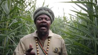 Luciano - In The Name Of Love [Official HD Video]