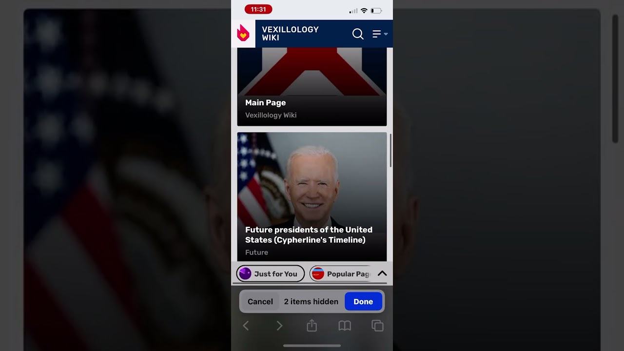 LETS NUKE THE NOT-FLAG ARTICLES ON FANDOM