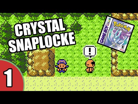 The Third Snaplocke Begins!