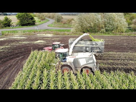 Claas Jaguar 980 Forage Harvester