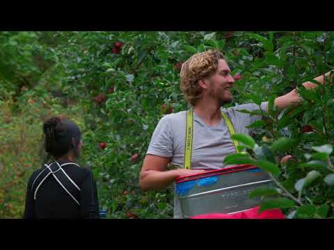 Fruktgården Eiane Gard i Hjelmeland, Ryfylke