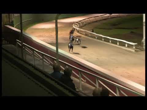 Sonic Spur - SIS Yorkshire St Leger Heat 2