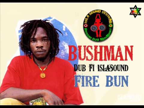 BUSHMAN Dub fi ISLASOUND - Fire  Bun.
